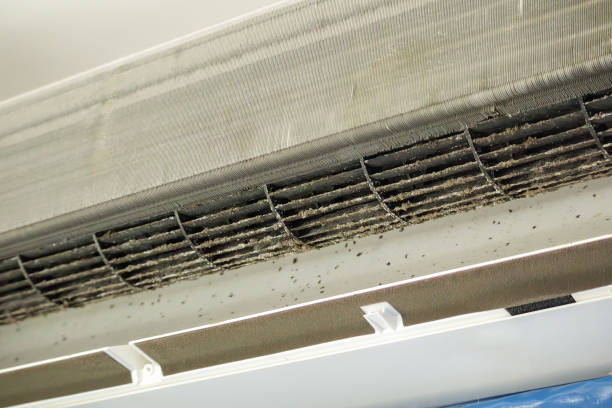 Best Professional Duct Cleaning Services  in Jenkintown, PA